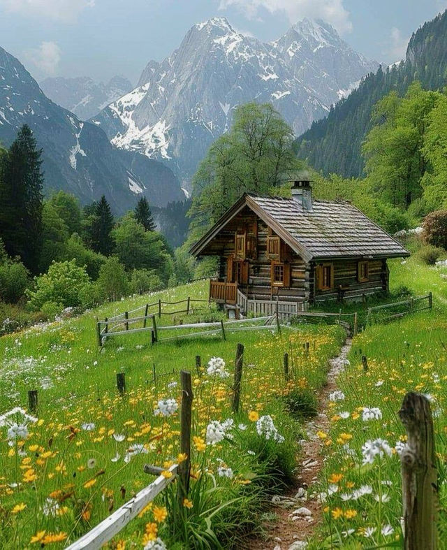 我的阿勒泰|雪山木屋草甸花海