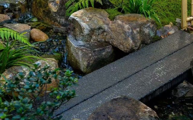 落雨必去！被園林茶室治癒嘅神仙時刻