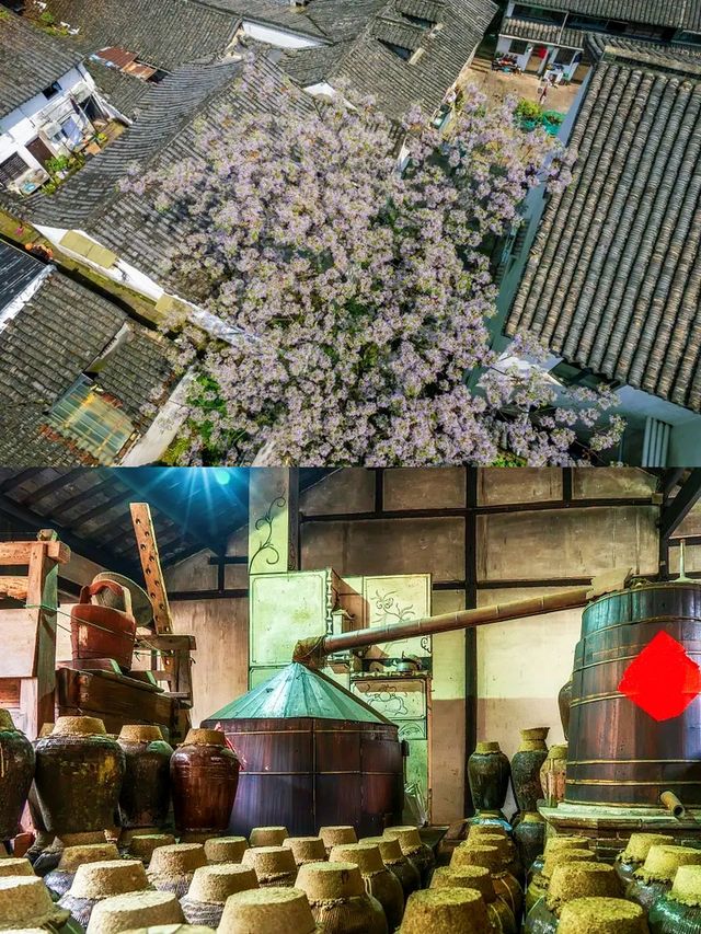避暑嚟紹興，打卡寶藏地，體驗感比蘇杭仲正