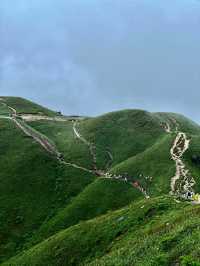 武功山反穿28km全攻略｜用腳步征服雲端，治癒感爆棚