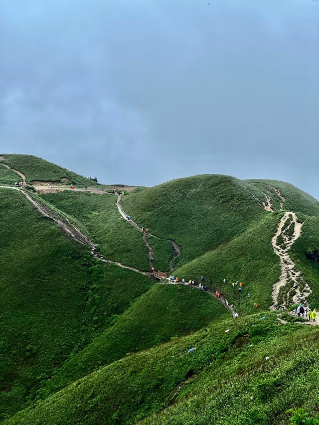 武功山反穿28km全攻略｜用腳步征服雲端，治癒感爆棚