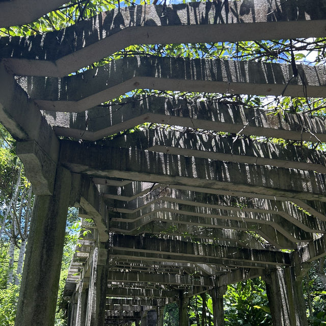 Shenzhen Fairy Lake Botanical Gardens!