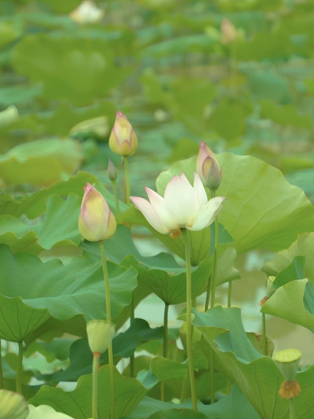 徐州周邊遊好去處海寧