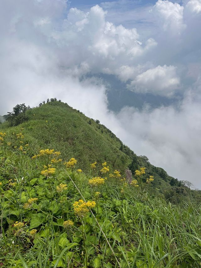桂林版阿勒泰｜茶坪水庫徒步打卡攻略