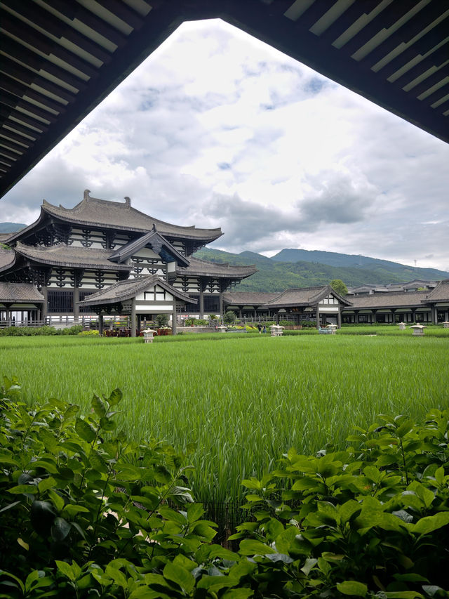 洪雅食玩住全攻略