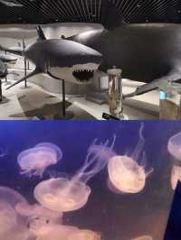 青島親子遊 | 帶小朋友暢玩+美味水餃兩不誤