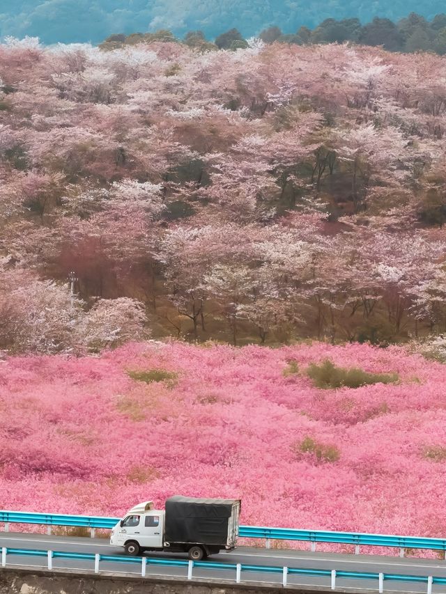 貴陽迎來封神季節