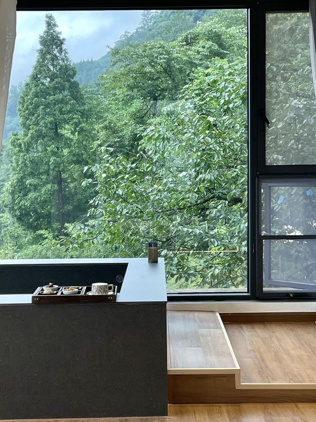 成都青城山！！躲進山野裡的清涼假期