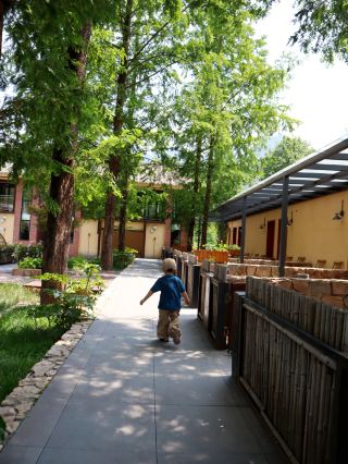 22°C Summer in the Qinling Mountains｜Stay Under the Stars at Daoban Lodge with Your Kids, Breathtaking!