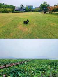 蘇州太湖裸心泊，帶你解鎖夏日玩水新姿勢！