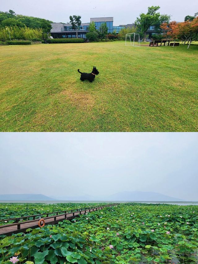 蘇州太湖裸心泊，帶你解鎖夏日玩水新姿勢！