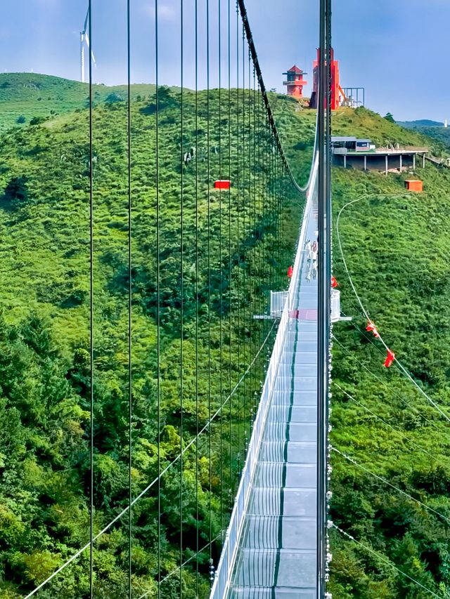 宜昌百里荒：23℃秘境藏草原，三國風雲與山楂樹浪漫交織