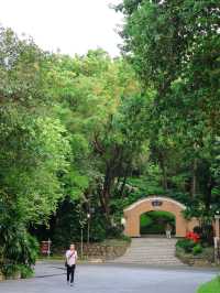 廣州旅遊本地人私藏的好去處—越秀公園～