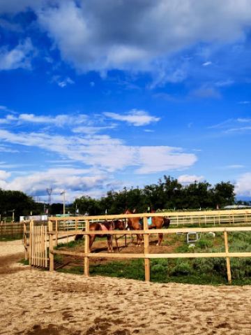 綠野心語——青草坡鄉村莊園景區