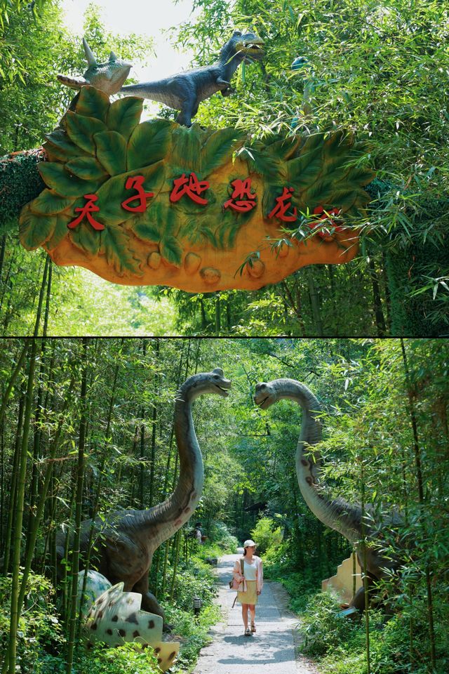 懶人必衝的山野樂園瘋狂安利