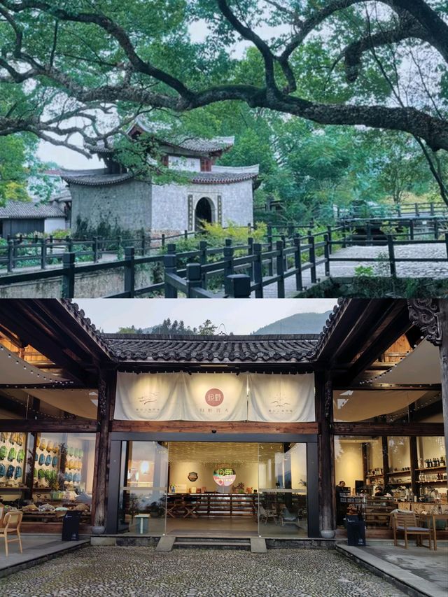 國慶梯田黃金周——雲和梯田絕美秋日上線
