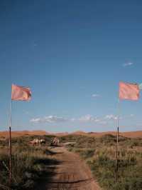 🏜️ Dunhuang: Where Desert Dreams Come Alive! 🌅