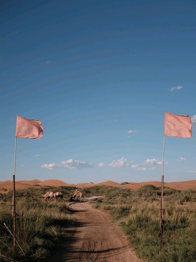 🏜️ Dunhuang: Where Desert Dreams Come Alive! 🌅
