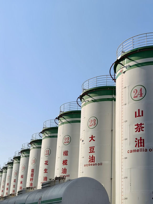 清心慢旅，愛菊健康文化體驗園的自然之語