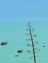 湄洲島剛回來超全攻略及避雷篇