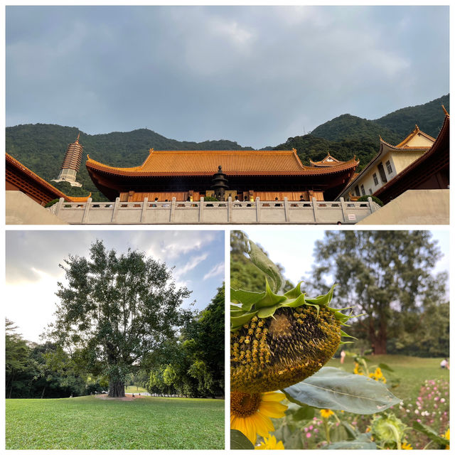 梧桐仙湖藏禪境|深圳弘法寺祈福全攻略🙏 梧桐仙湖藏禪境|深圳弘法寺祈福全攻略🙏