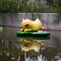 Big Duck Figurines in Shanghai? Yes, Fuxing Park 🦆🦆