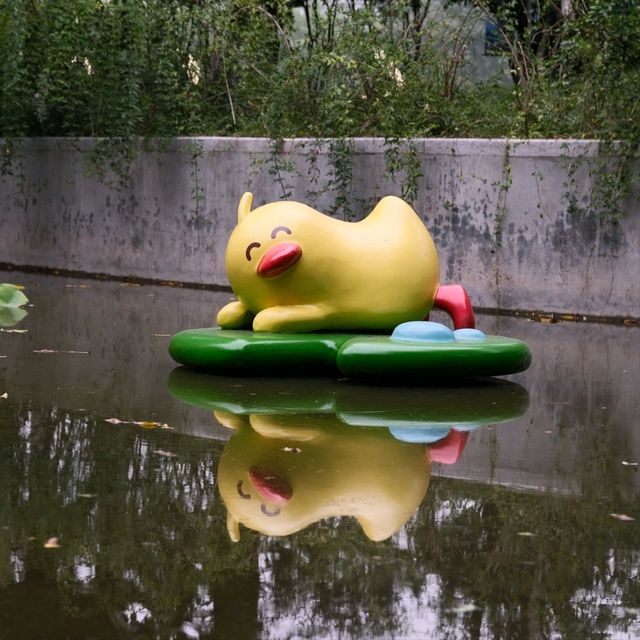 Big Duck Figurines in Shanghai? Yes, Fuxing Park 🦆🦆