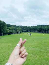 Enjoy and relax your day in Qingxiu mountain Nanning