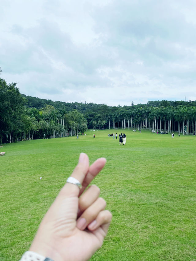 Enjoy and relax your day in Qingxiu mountain Nanning