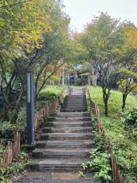 藏在山林裡的避世溫柔