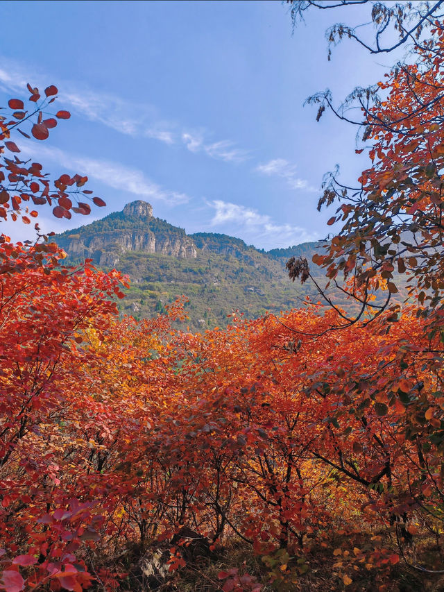 秋日太甲山徒步指南