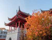 藏在鬧市的百年古寺，毗盧寺的寧靜與厚重，遠比想像中更動人