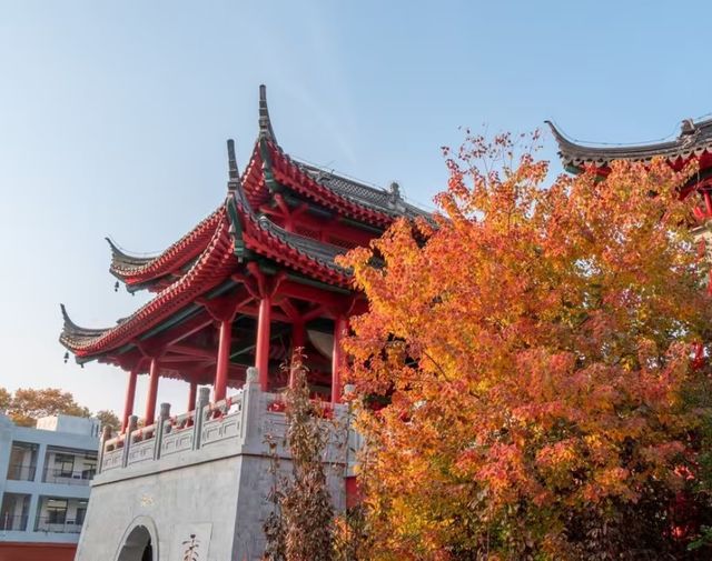 藏在鬧市的百年古寺，毗盧寺的寧靜與厚重，遠比想像中更動人