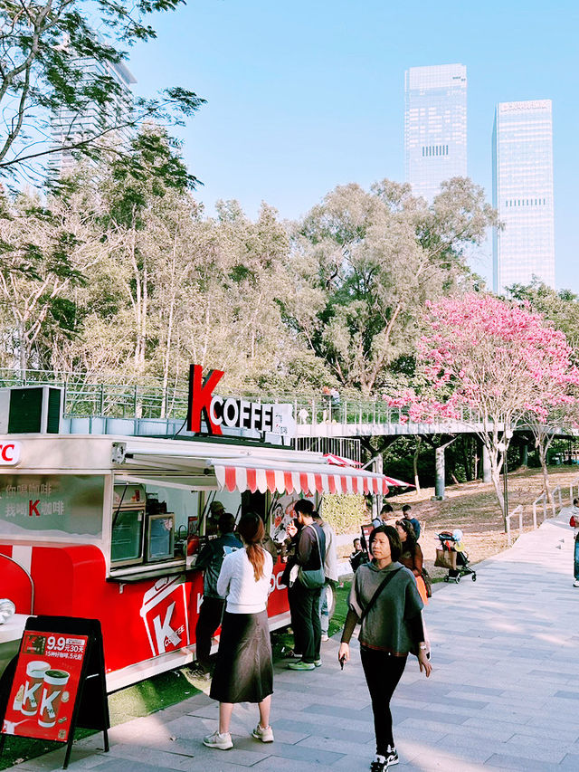 ⛺️ 蓮花山X 筆架山公園｜城市裡也能露營的綠色天堂