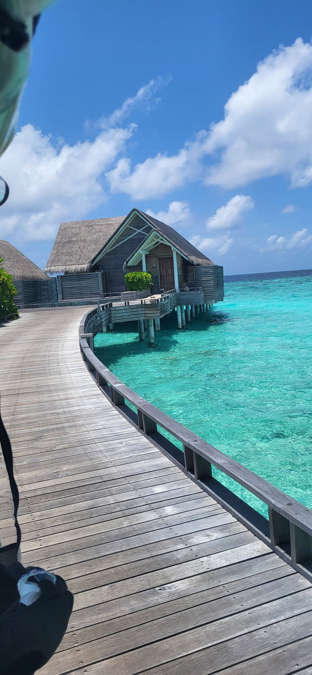 First Visit to Maldives Exceeded Expectations First Visit to Maldives Exceeded Expectations