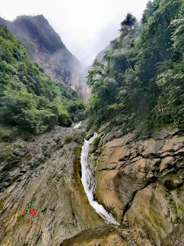 煙雨向家溪