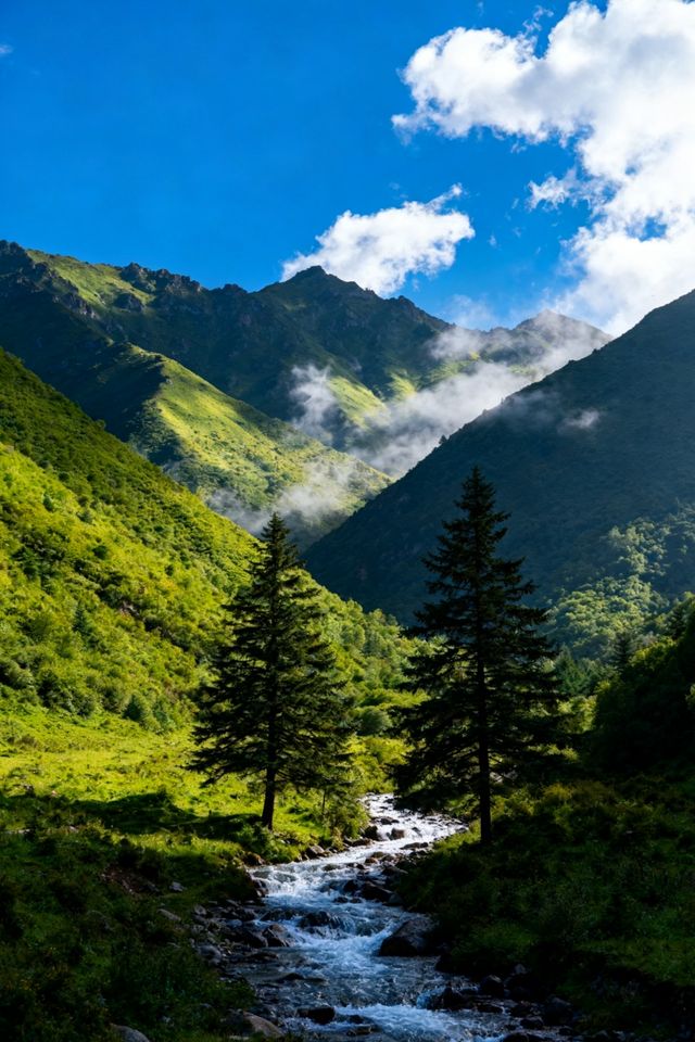 18℃的避暑天堂六盤山下這座綠意小城絕了! 18℃的避暑天堂六盤山下這座綠意小城絕了!