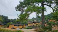松陽古建打卡~酉田村