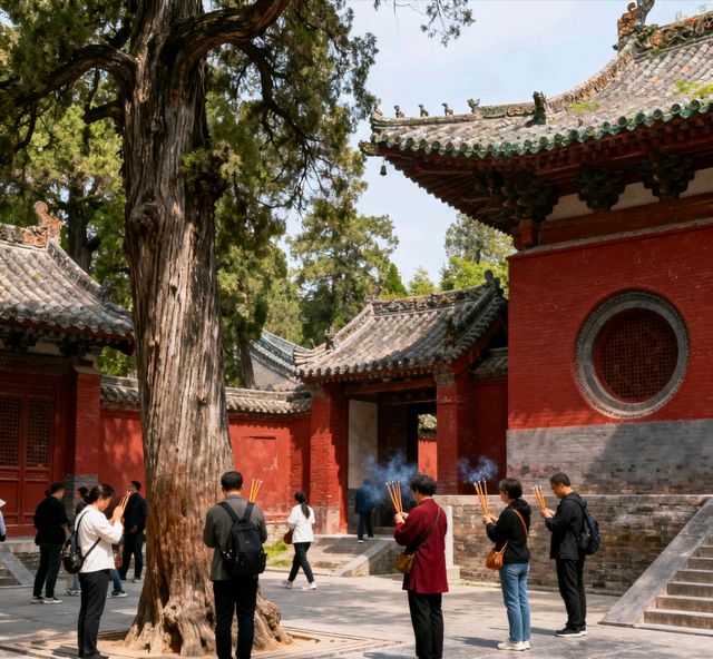 南陽+保姆級攻略帶你遊玩絕美景點 南陽+保姆級攻略帶你遊玩絕美景點