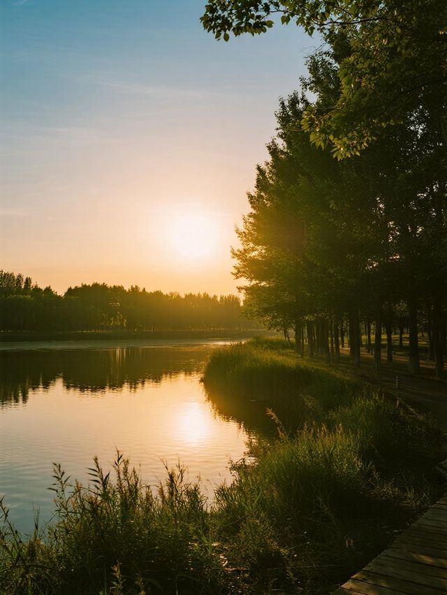 帶娃玩轉濱州淄博！4天行程超省心