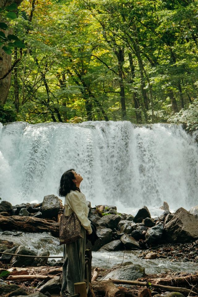 青森奧入瀨溪流+十和田湖一日散步路線 青森奧入瀨溪流+十和田湖一日散步路線