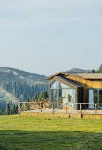 原始森林野奢體驗