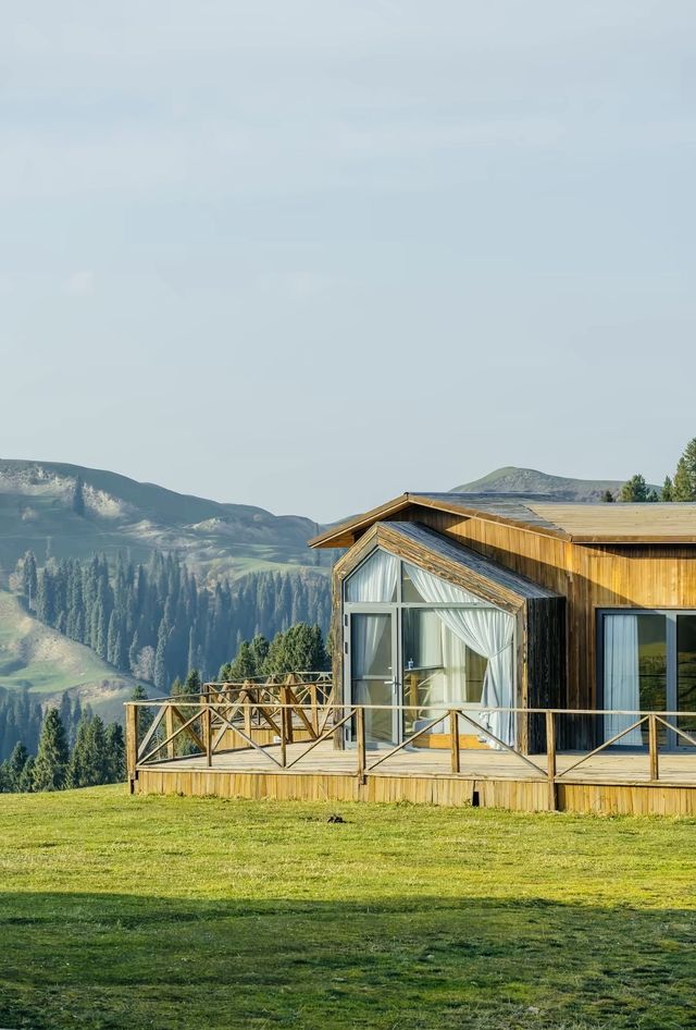 原始森林野奢體驗 原始森林野奢體驗