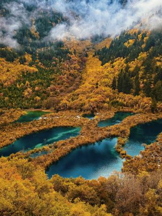 11월 구채구 대박 성공! 이 절경의 가을 풍경, 다리가 부러져도 가치 있어요
