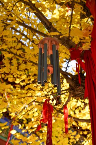 銀杏古寺の散策記