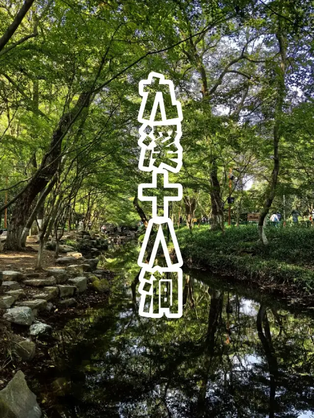A must-visit hiking spot in Hangzhou! The ultimate nanny-level guide to Jiuxi Shibajian is here