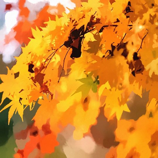 悉尼近郊絕美秘境封神了！