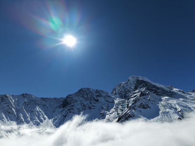 叢林界的一鯨落萬物生~ 叢林界的一鯨落萬物生~