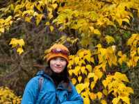 叢林界的一鯨落萬物生~