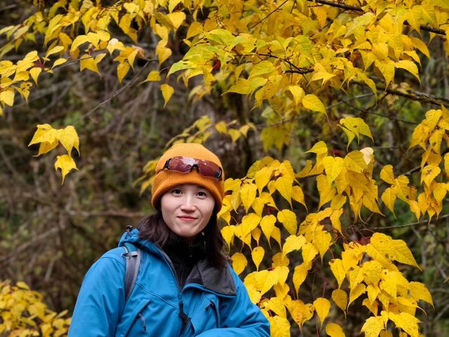 叢林界的一鯨落萬物生~ 叢林界的一鯨落萬物生~